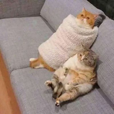 略略略…