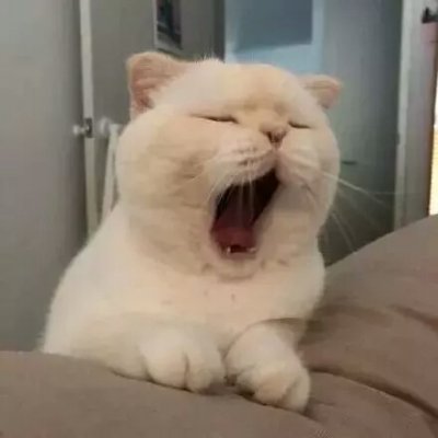 略略略…