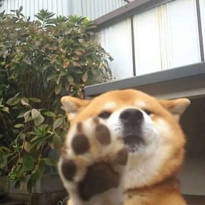 略略略…