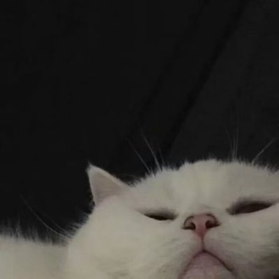 略略略…