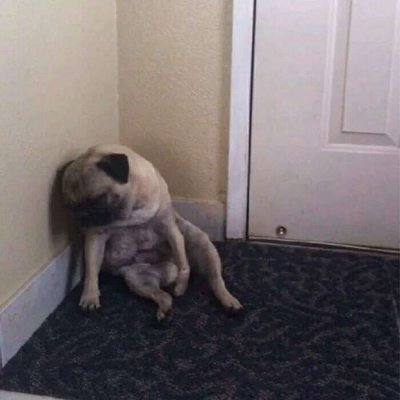 略略略…