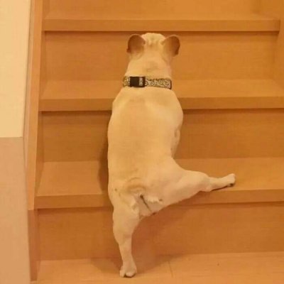 略略略…