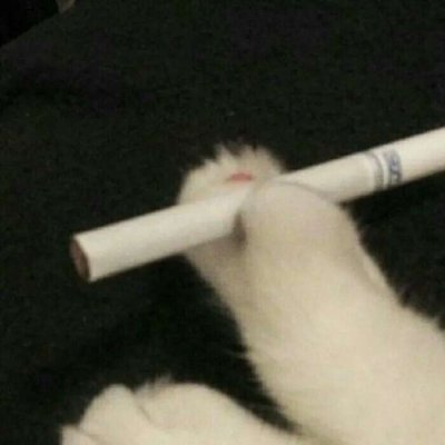略略略…