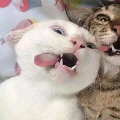 略略略…