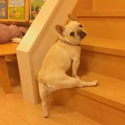 略略略…