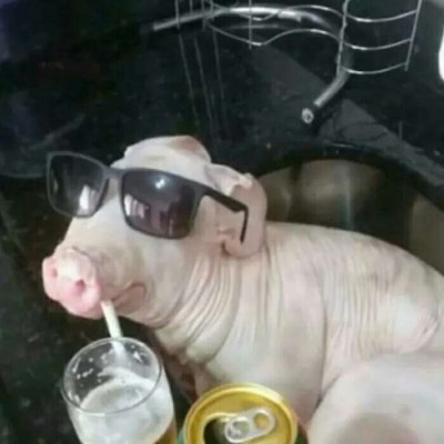 略略略…