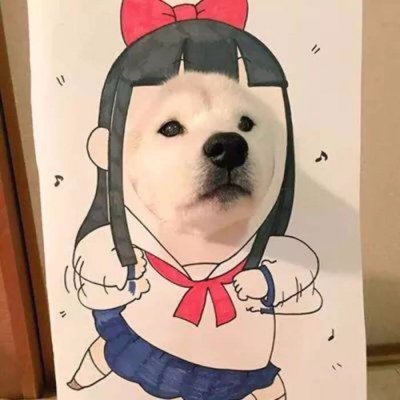 动物情头