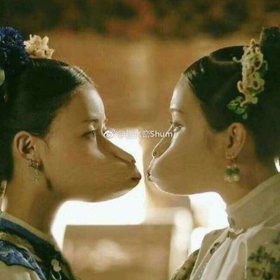 二熙：延禧攻略表情包