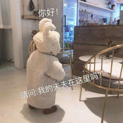 木兮:可爱头像/人间无趣但却有你
