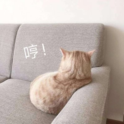 个性搞怪头像微信