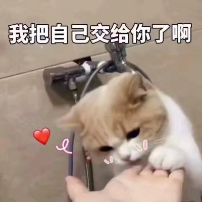 超软妹的表情包