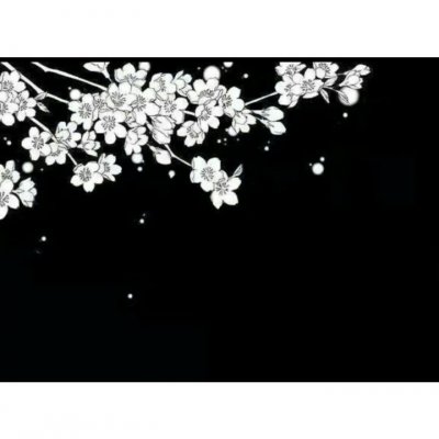居居/套图情侣版