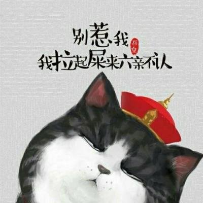 可爱小猫……留拿图☆