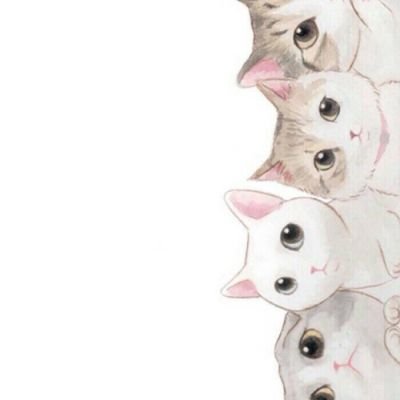 可爱小猫……留拿图☆