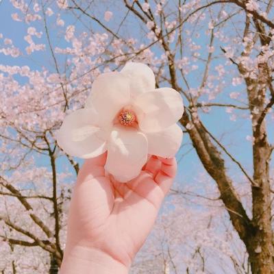 2018吉祥微信头像 好运   点赞即收获好运哦