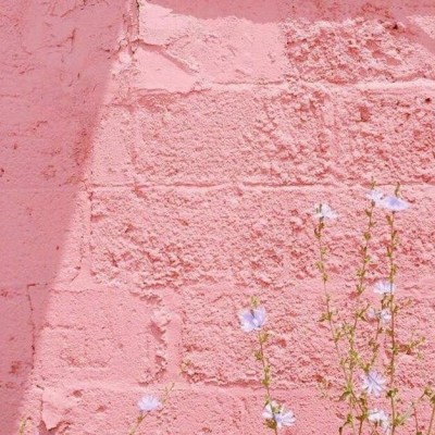 少女心背景图.心存感激 所遇即温柔