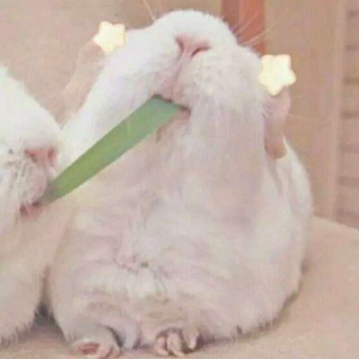 搞怪情头。望喜。