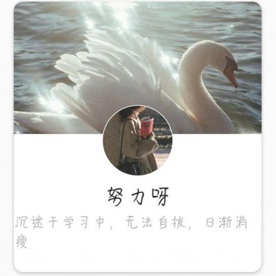 女生套头，
