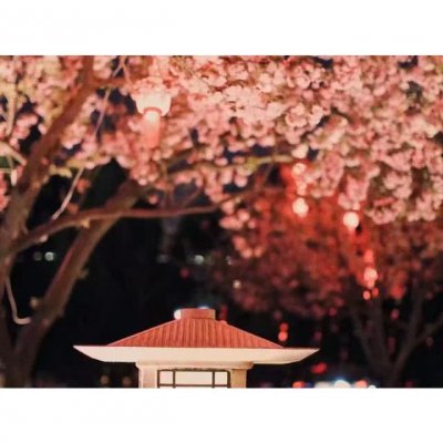 女生套头，