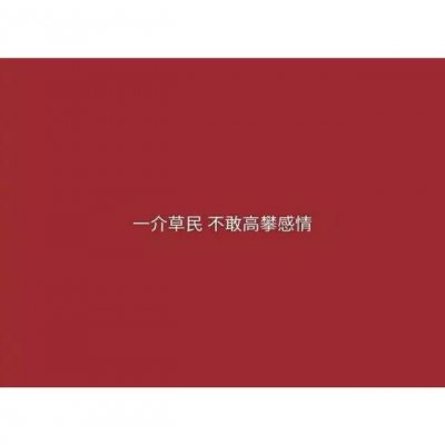 女生套头，