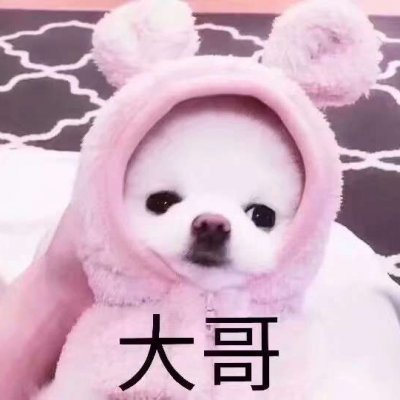 顾九家:萌娃萌宠情头
