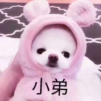 顾九家:萌娃萌宠情头