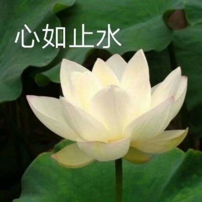 五人开黑头像?（续）.