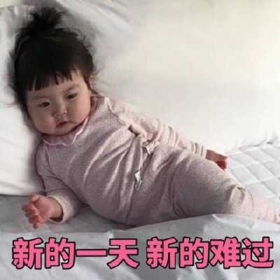 表情包斗图专用版