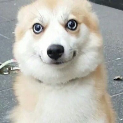 安故里：搞笑情头