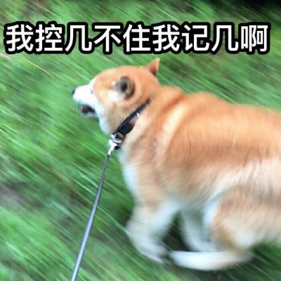 安故里：搞笑情头