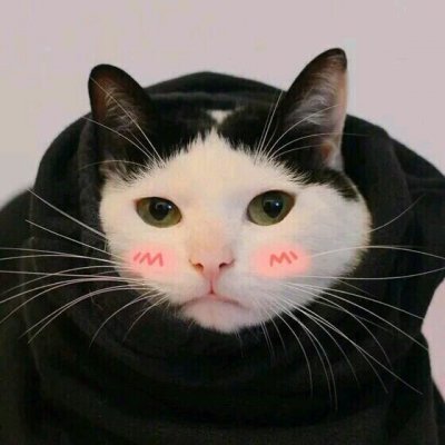 萌宠系情头