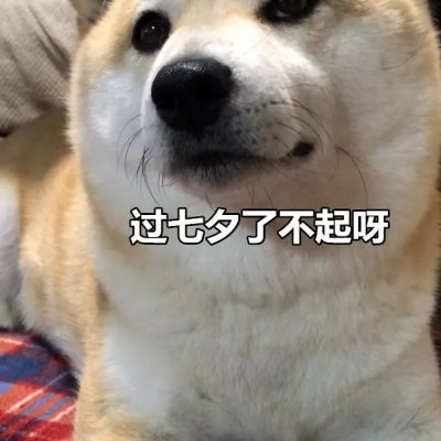 七夕单身狗表情包头像