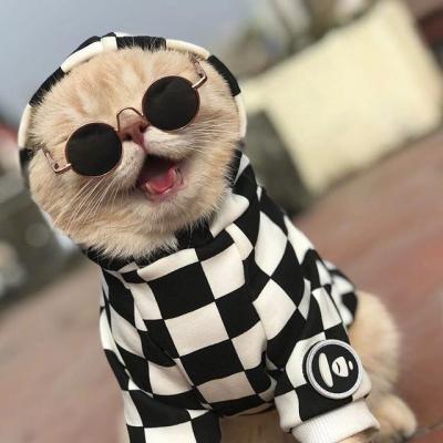 呆萌可爱的猫咪头像精选   有喜欢猫咪头像的嘛