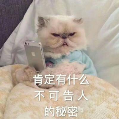 表情包啦