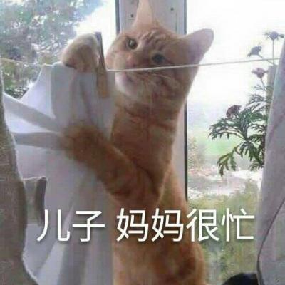 表情包啦