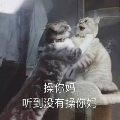 表情包啦