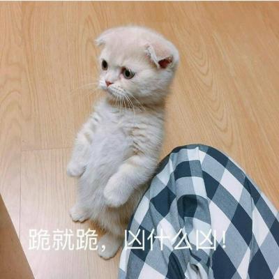 表情包啦