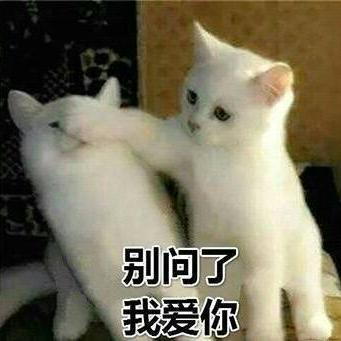 表情包啦