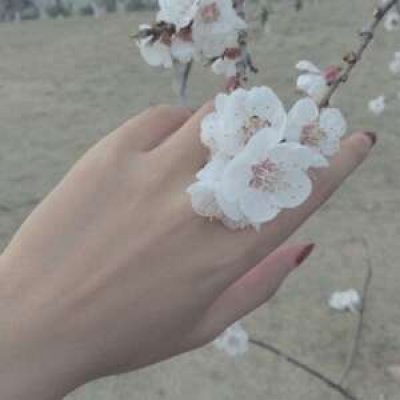 部位