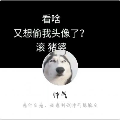 言辞：女生头像套图/要图私聊/