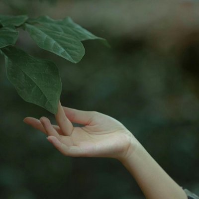 狄淇儿：手控福利