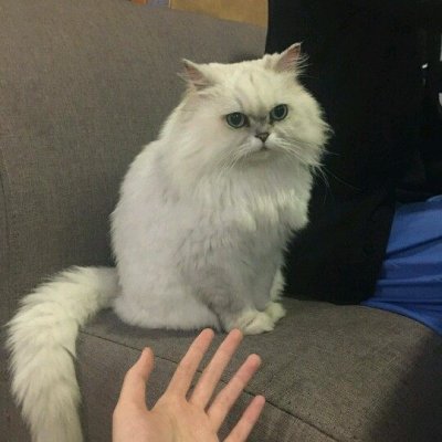 手控了