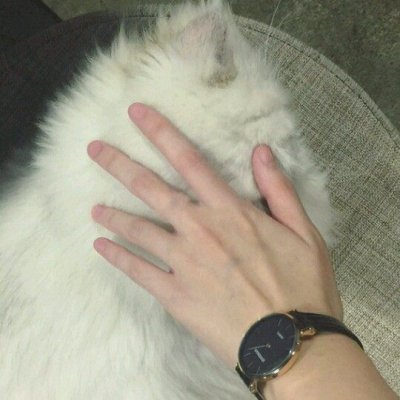手控了