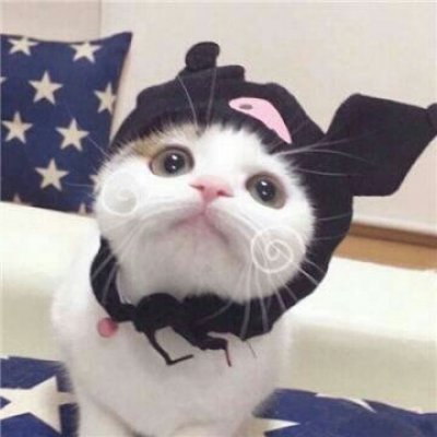 苏九九：是猫咪没错了?喵呜~