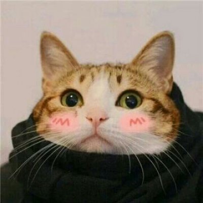 苏九九：是猫咪没错了?喵呜~