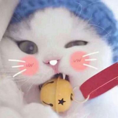 苏九九：是猫咪没错了?喵呜~