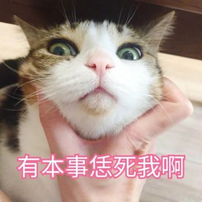 我是不是你的小可爱