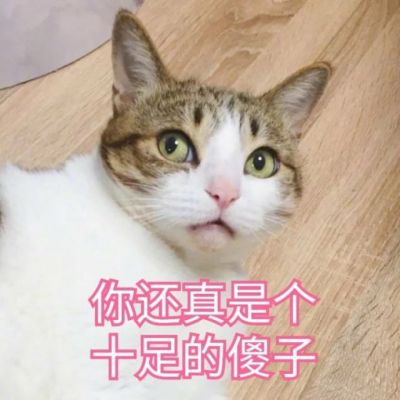 我是不是你的小可爱