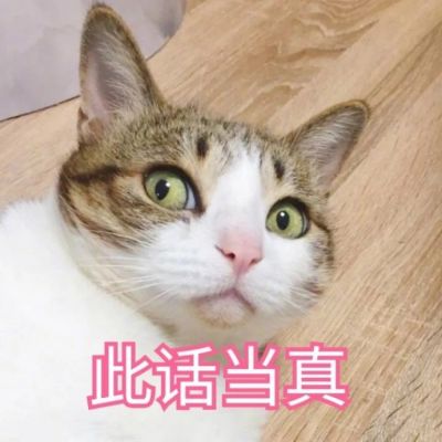 我是不是你的小可爱