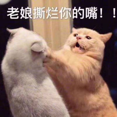 我是不是你的小可爱